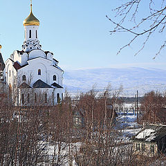 фото "В лучах весеннего солнца"