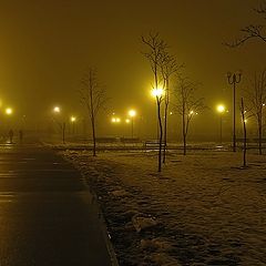 фото "Foggy night"