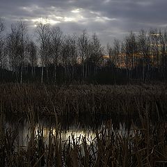 photo "Sun, fallen into the water"