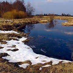 фото "Весенняя"