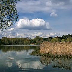 фото "Весна"