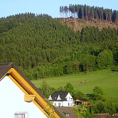 photo "The strange phenomenon of nature. Unsuccessful hairstyle or Bald Mount"