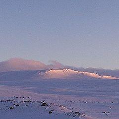 photo "Pink silence Розовое Молчание"