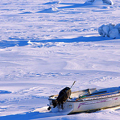 фото "Frozen Lake"