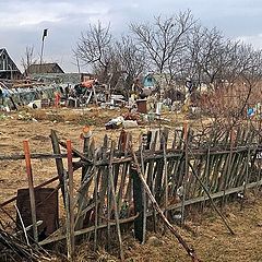 фото "Время собирать и время сеять"