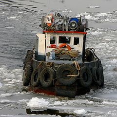 фото "21 век. 2008 год."