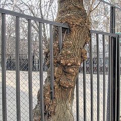 фото "Городская история"