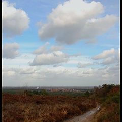 photo "The way to a small village"