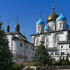 фото "Прогулки по Ново-Спасскому Монастырю"