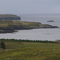 photo "Scotland"