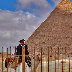 photo "Pyramids under guard"