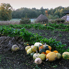 фото "Украина"