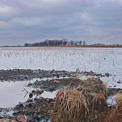 photo "***"