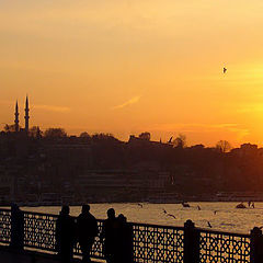 photo "Golden Horn"