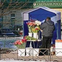 фото "8 марта близко"