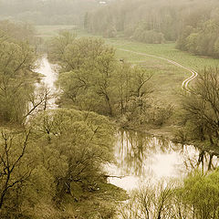 photo "Early Spring"