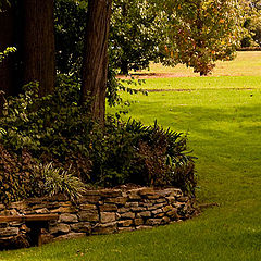 photo "A shady nook in the garden"