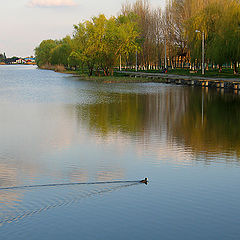 фото "Весенний вечер."