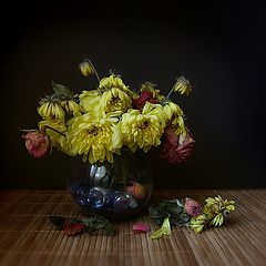 фото "* * *"