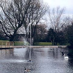 фото "" The Fountain ""