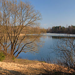 photo "Early spring"