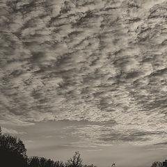 фото "Облака..."