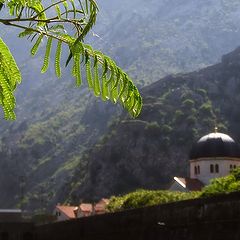 photo "Kotor"