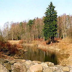 фото "апрельская"