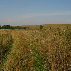 фото "дорога в далеко"