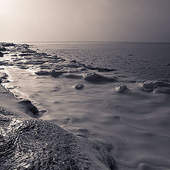 photo "Icy coastline"