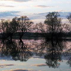 фото "mirror"