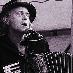 photo "Accordionist"