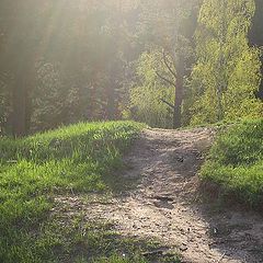 photo "***"