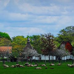 photo "spring in Bokrijk Genk"