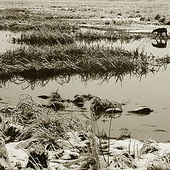photo "***"