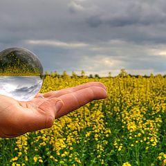 photo "Glas ball VolIII"