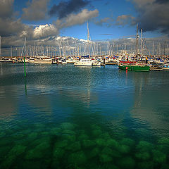 photo "Bangor Harbour"