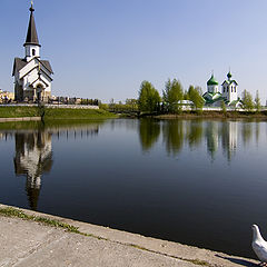 фото "Церкви и голубь"