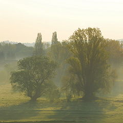 photo "Sweet home Sachsen-Anhalt"