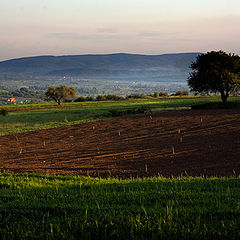 фотоальбом "Pejzaz"