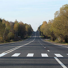 фото "Осеннее шоссе"