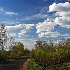 фото "Весенняя дорога"