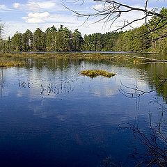 photo "Neck Lake"