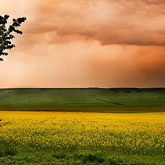 photo "Country crimson cloud"