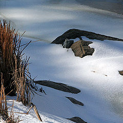 photo "Winter river"