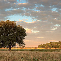 photo "Morning"