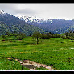 photo "Alpe"