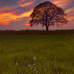 photo "Wild west"