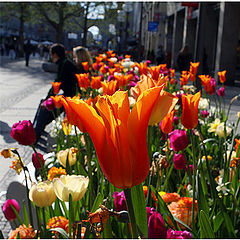 photo "Farewell in Munich"