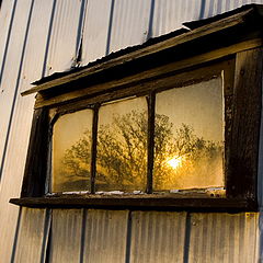 photo "Reflections on a sunset..."